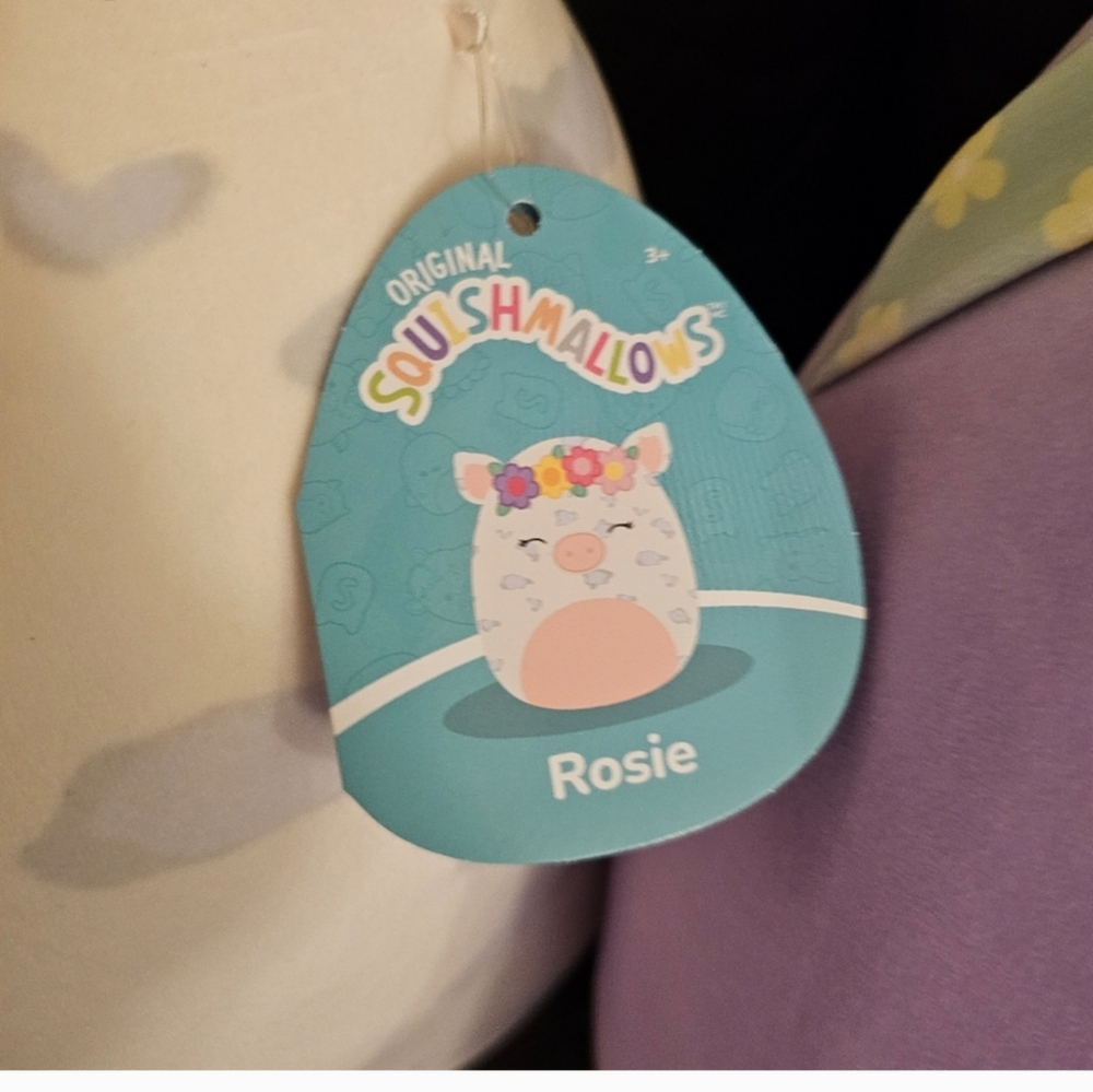 2 Squishmallows 16" Plush,  2 Nwt Silvy - Picture 5 of 12